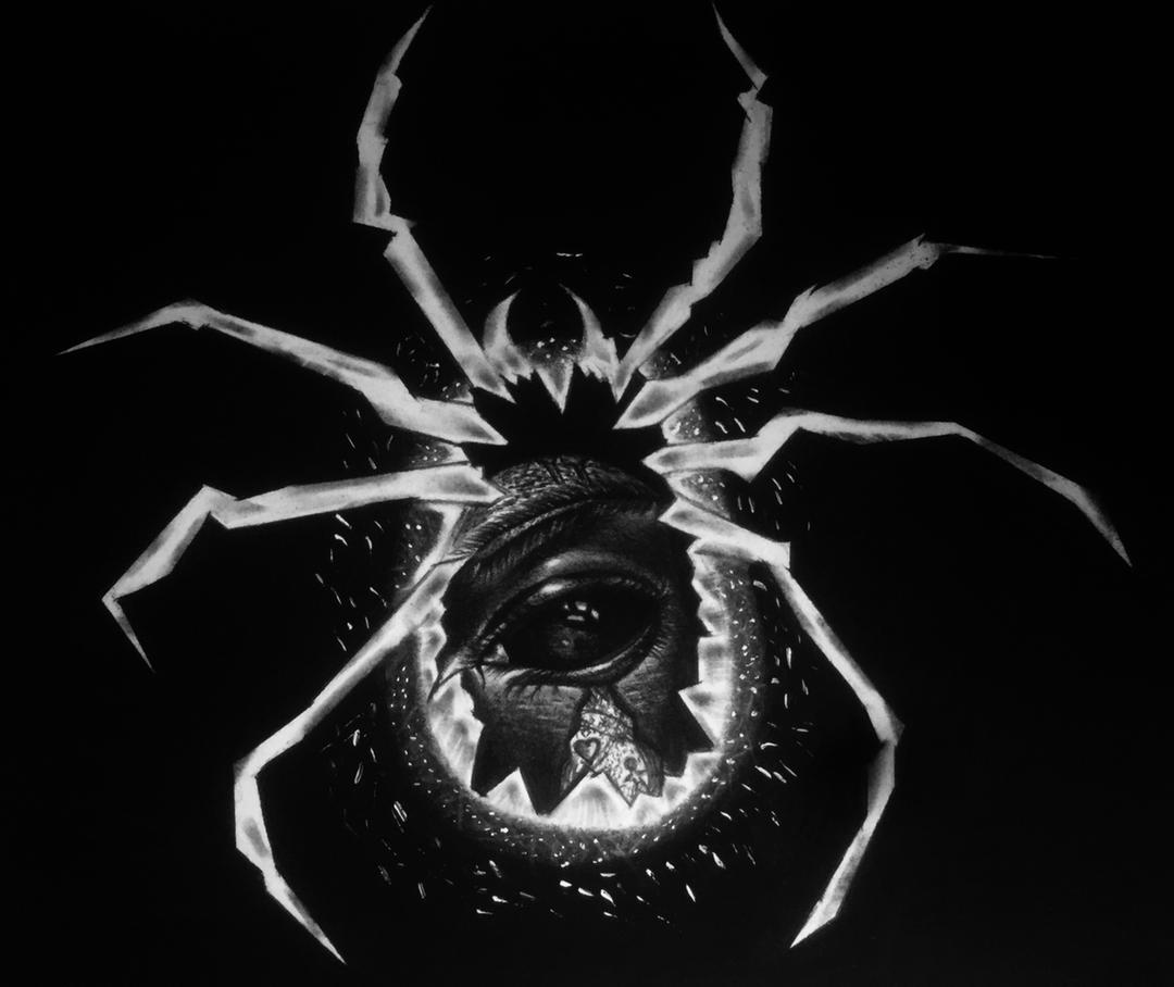 Spider’s Mystery